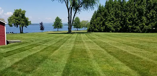 Freshly maintained lawn overlooking the water